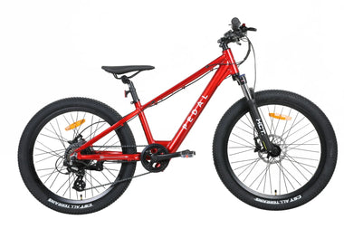 Pedal Warrior 2 24" Electric Mountain Bike Red